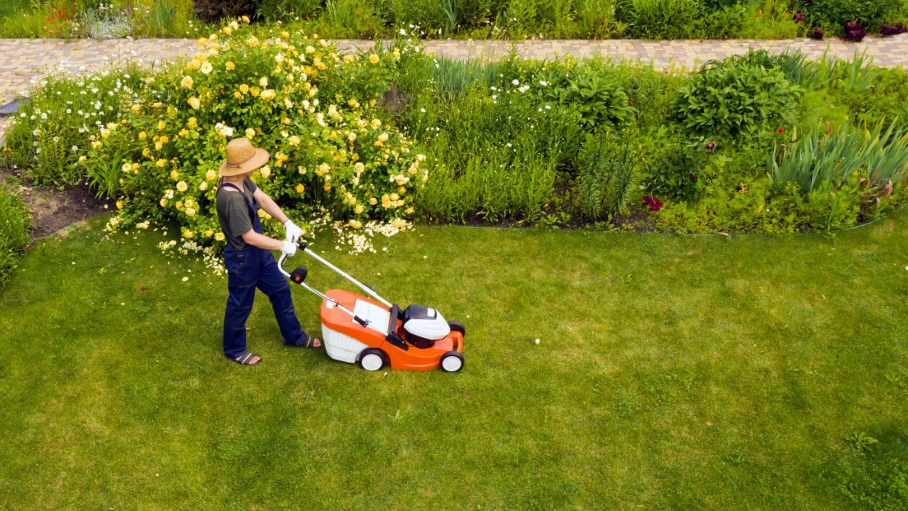 ¿Cortas tu césped? 10 consejos para mantener tu jardín bien cuidado