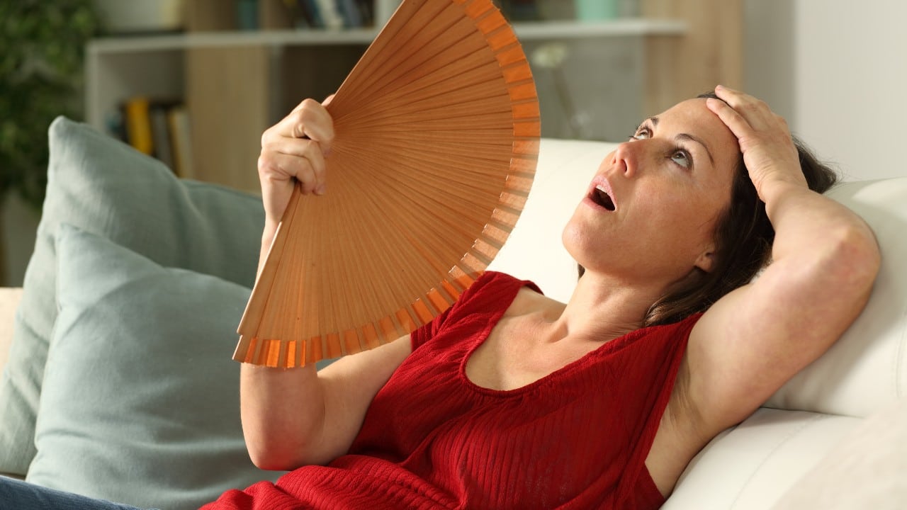 la menopausia