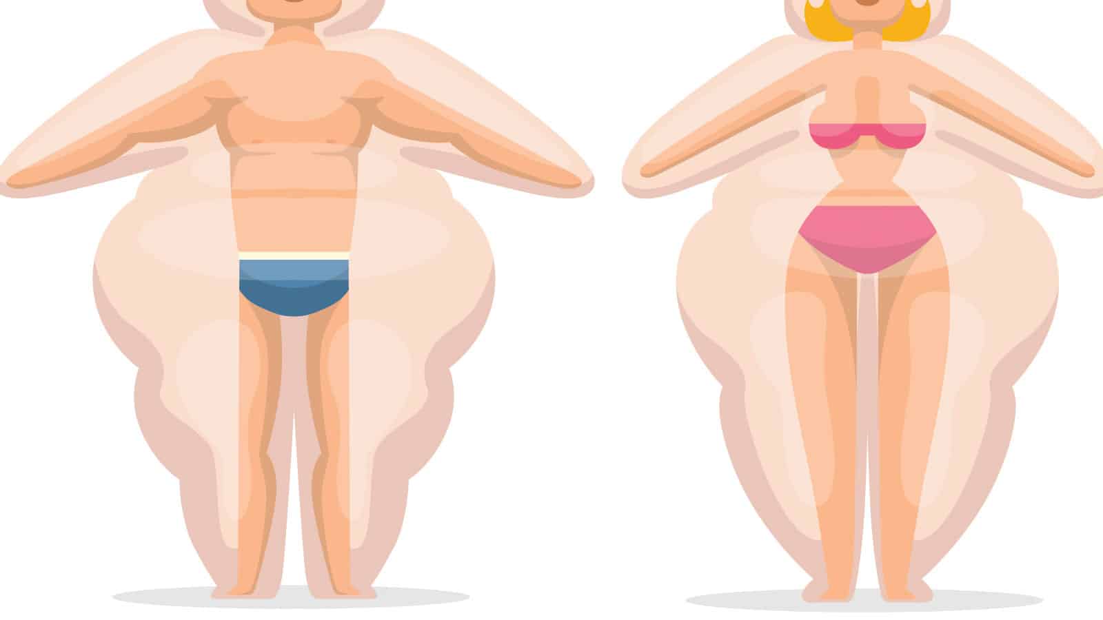 ¿Qué relación existe entre la masa muscular y la resistencia a la insulina?