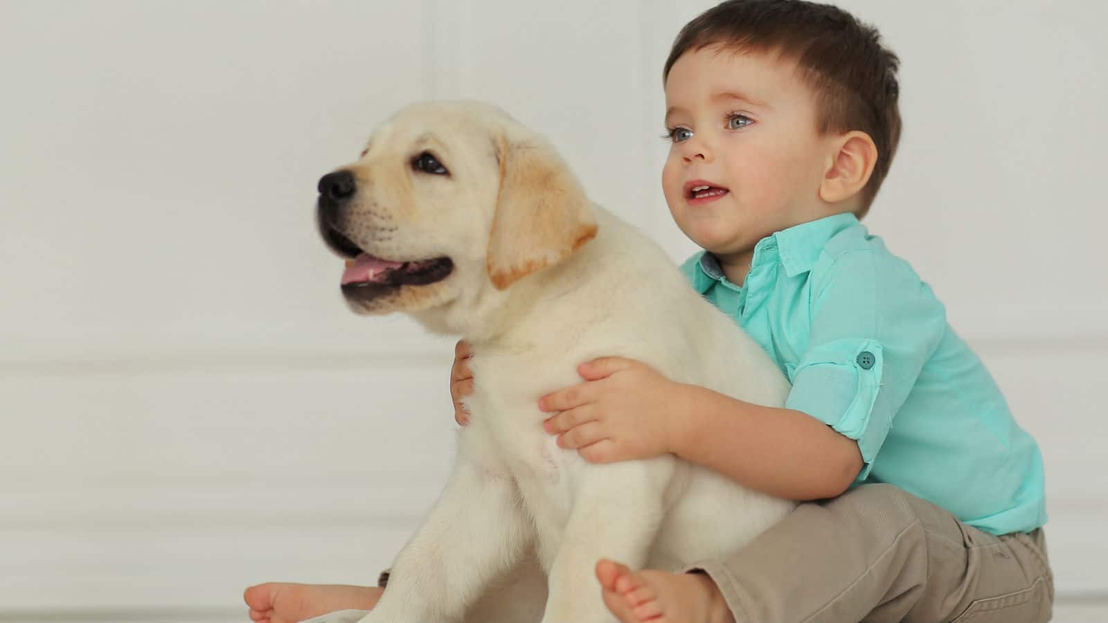 niño pequeño abrazando perro