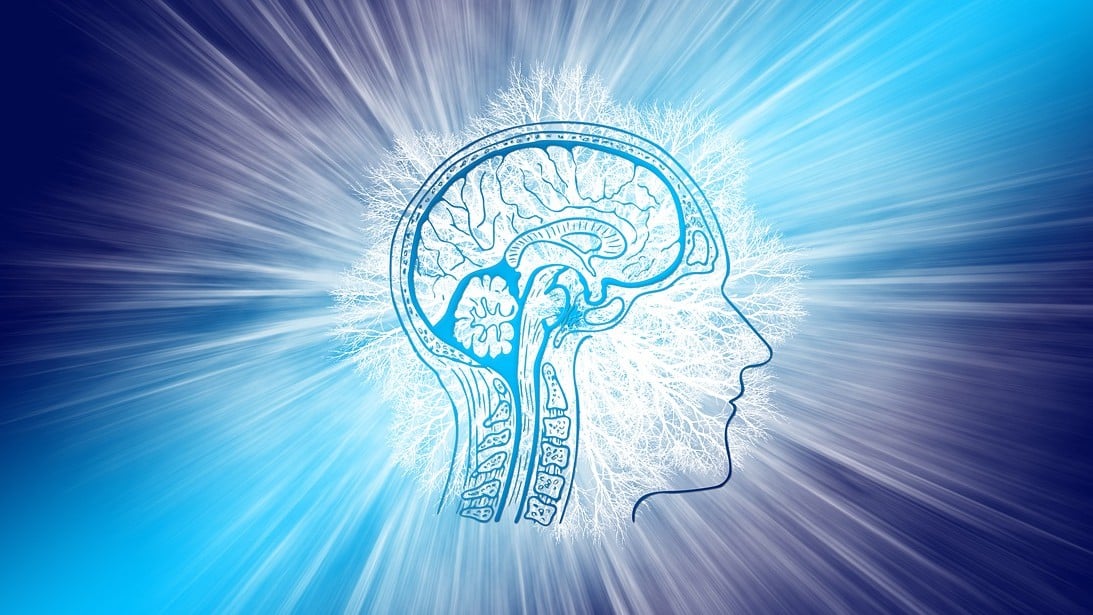 ayuda al cerebro