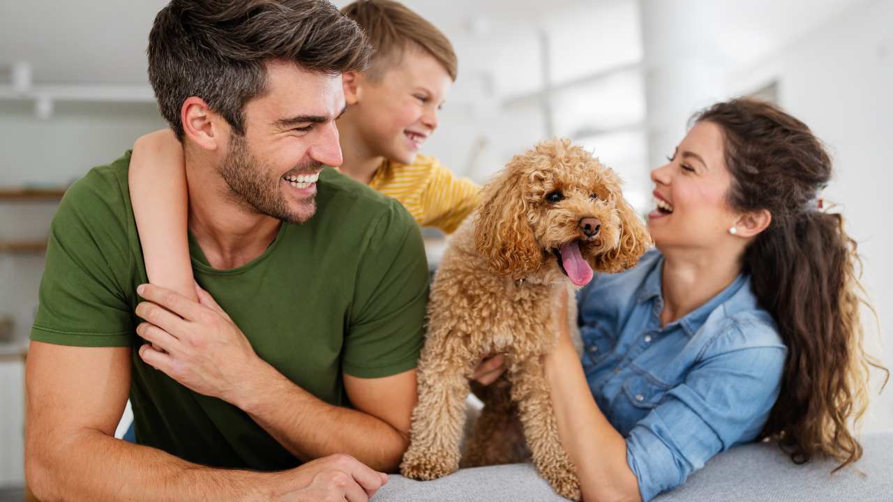 Efectos en tu salud de tener una mascota