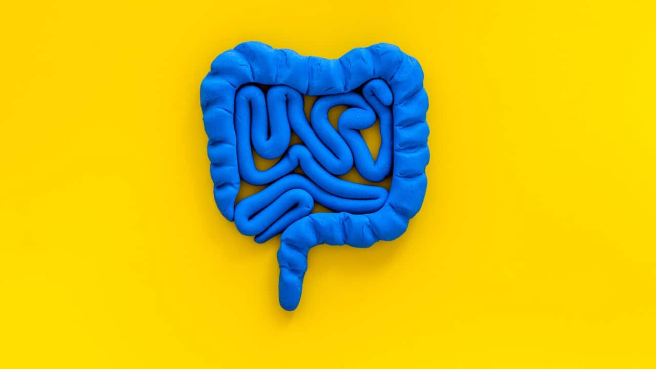 La flora intestinal afecta a nuestra salud mental