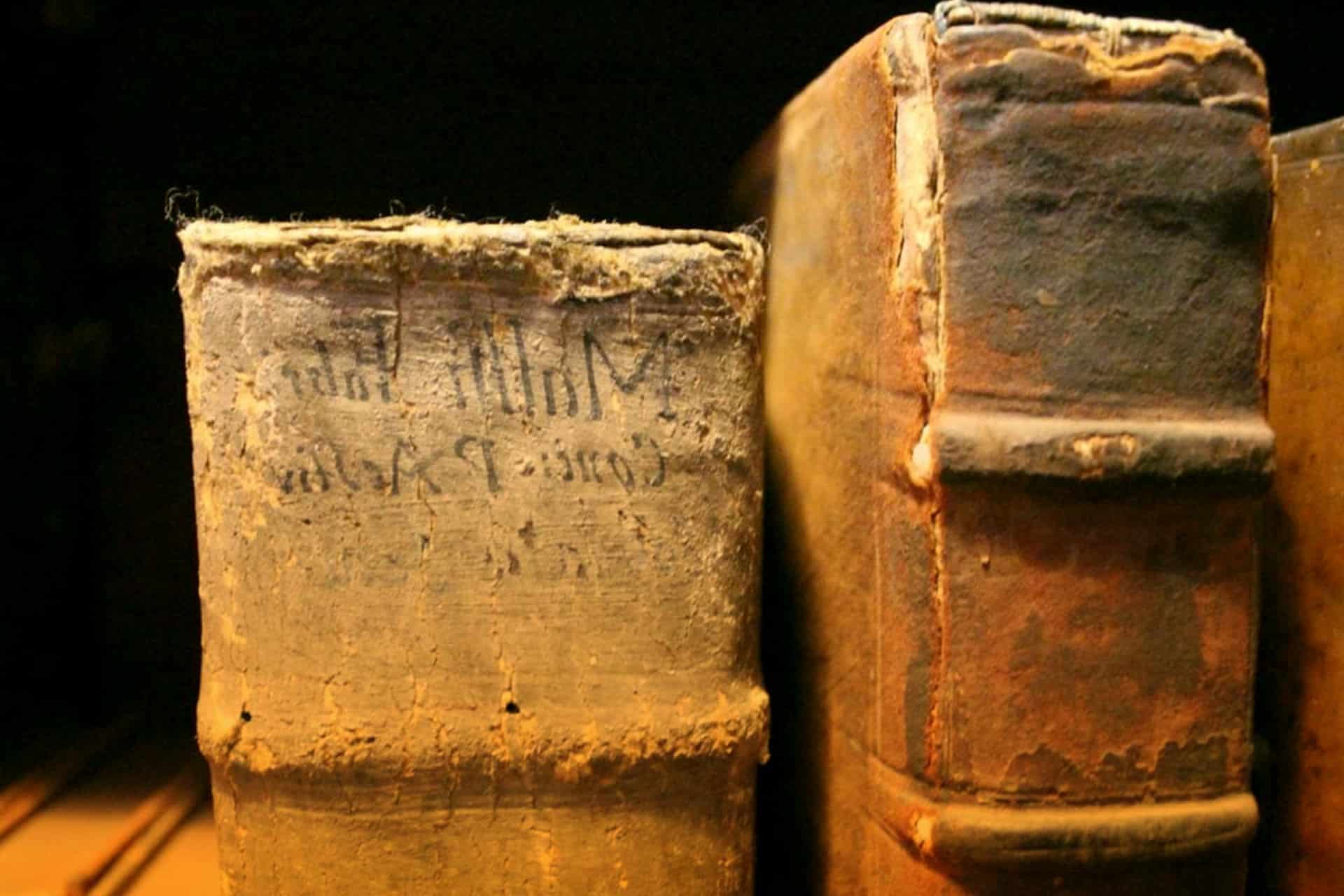 ¿Por qué leemos menos libros?