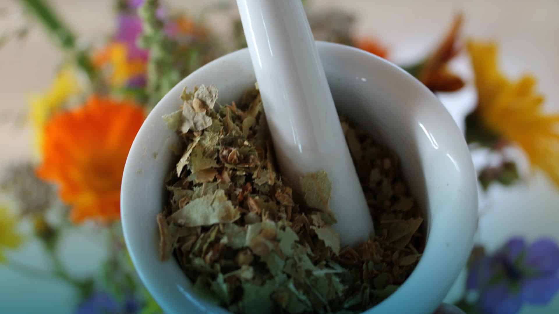 Homeopatía, un método para todos