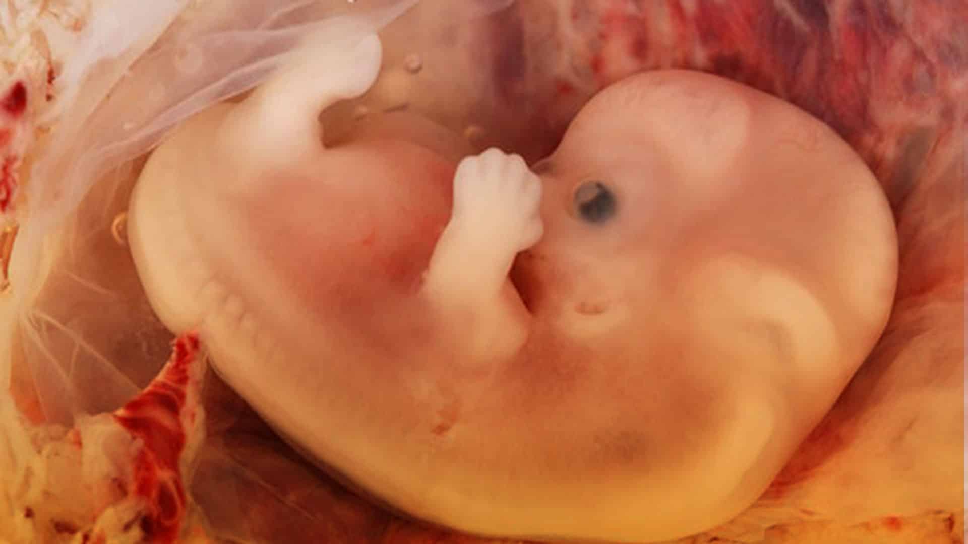 Mujeres: edad y fertilidad