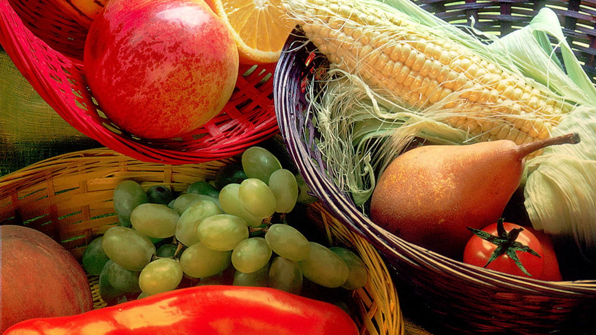 Nutrición durante el embarazo
