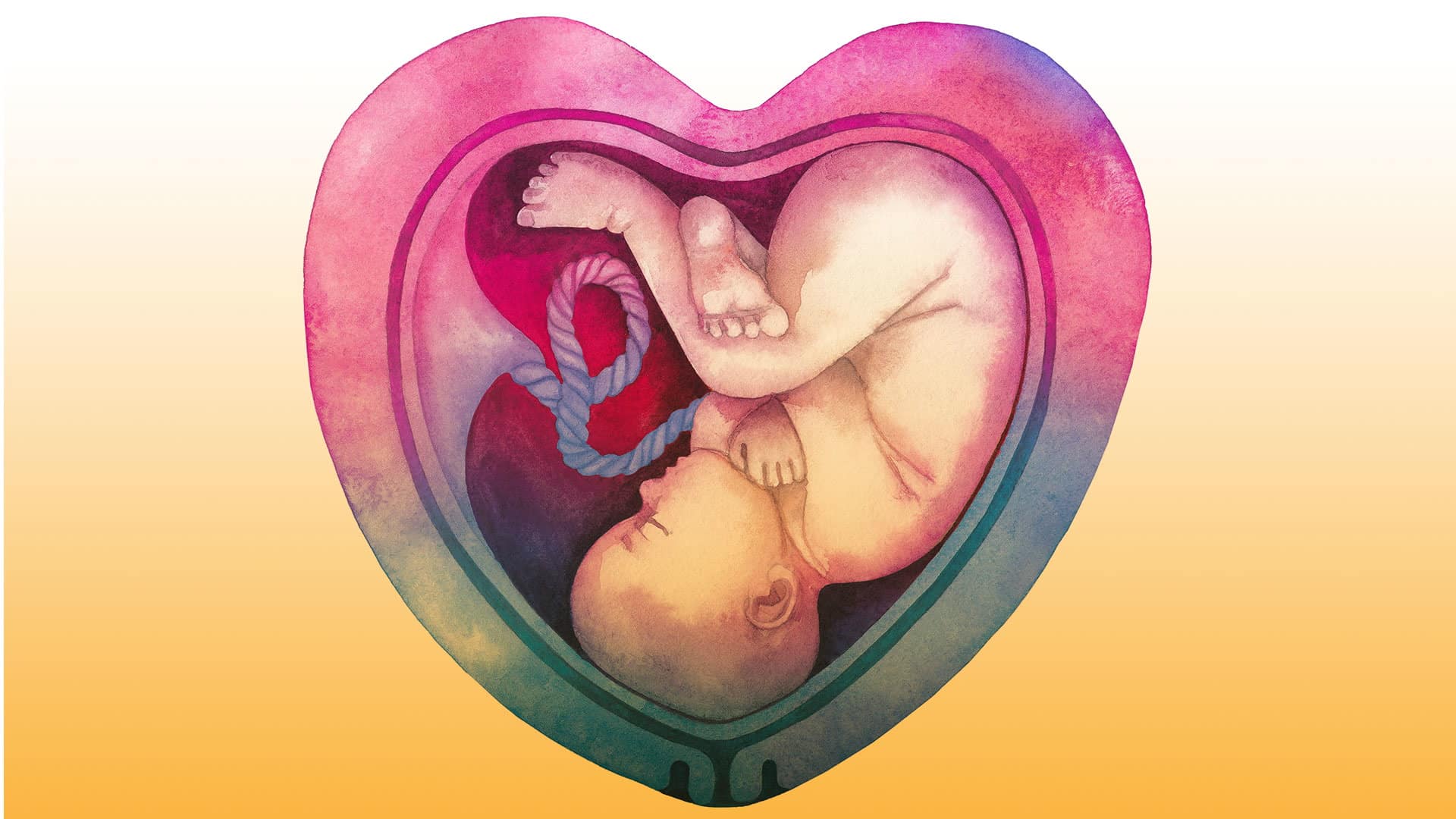 Cardiología fetal