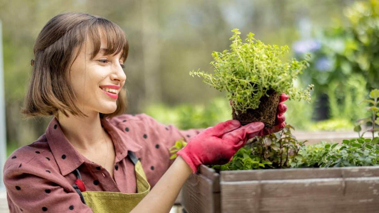 qué plantar y cosechar a principios de la primavera en el huerto