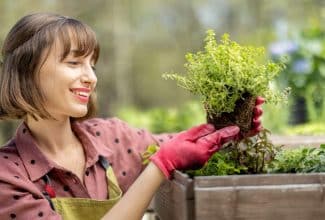 qué plantar y cosechar a principios de la primavera en el huerto