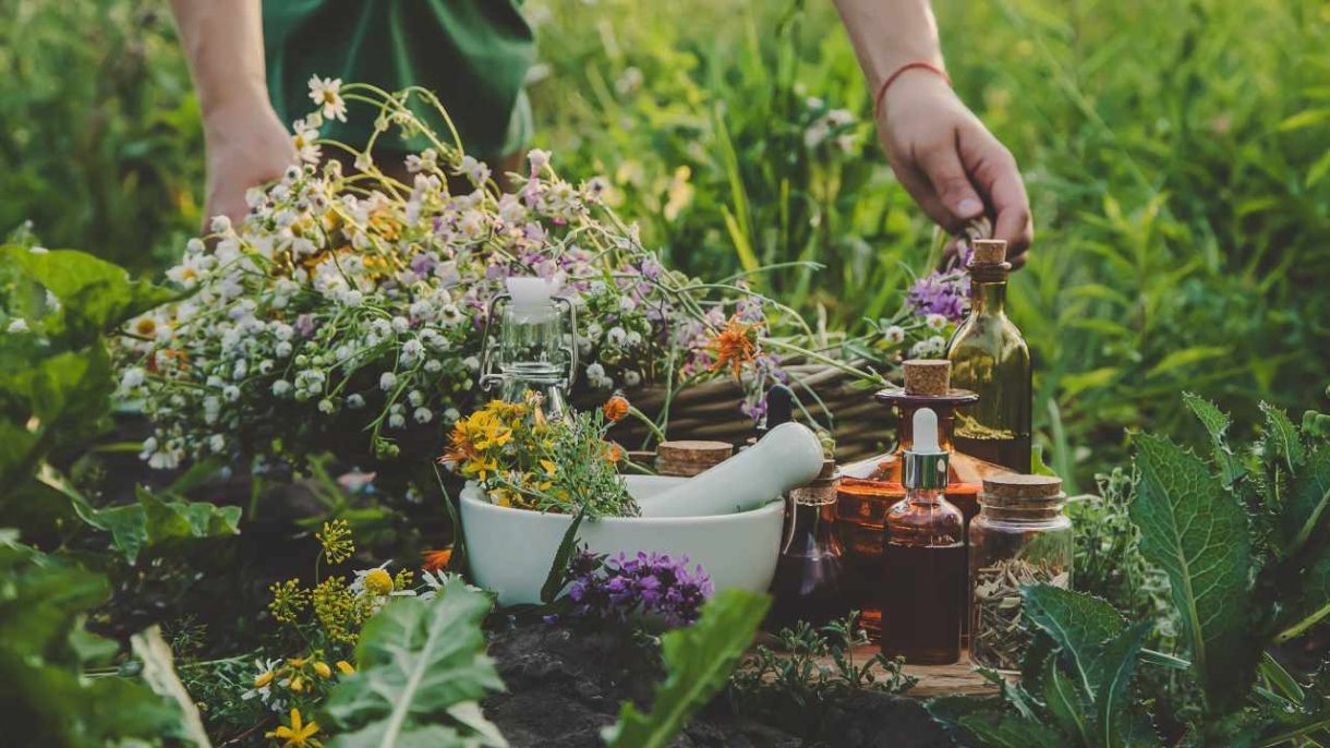 Plantas para curar heridas en remedios naturales