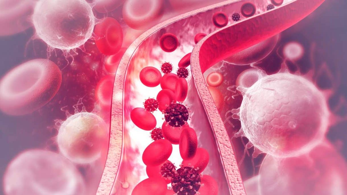 Ilustración de células cancerosas desplazándose por vasos sanguíneos hacia otros órganos