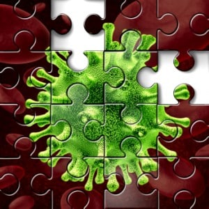 iStock_000026105225XSmall_wildpixel