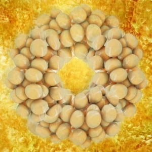 iStock_000027043757XSmall_xrender