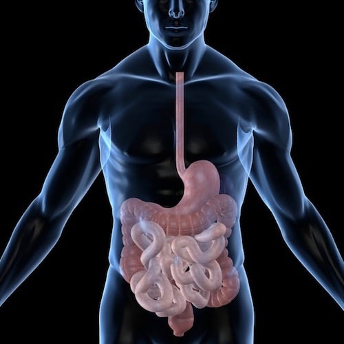Endoscopía de Tubo Digestivo